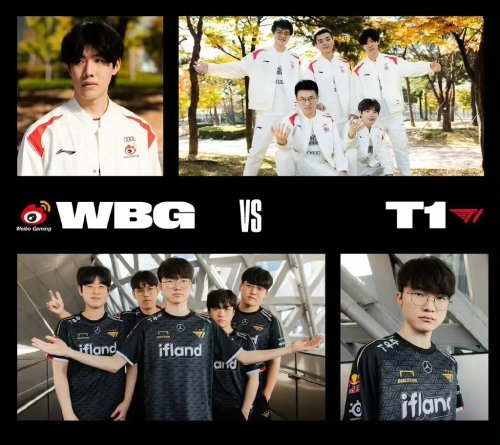 的成绩提升 的成绩提升